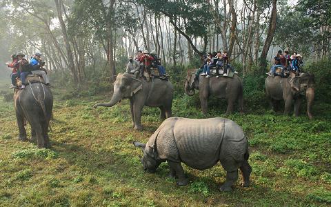  - Elephant-Safari-Chitwan3