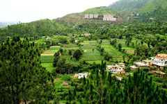 Solan
