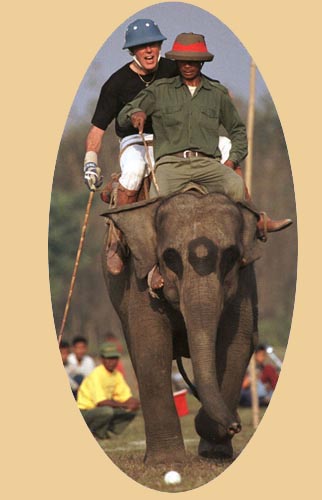 Elefanten polo in Rajasthan 