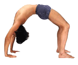 Yoga bungen, Hatha Yoga