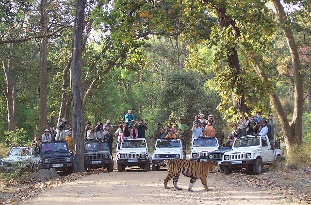 Bandhavgarh National Park