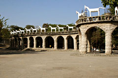 Chandigarh: Rose garden