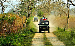 Kaziranga national park