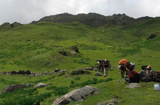 Kuari Pass Trek