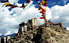 Leh gompa