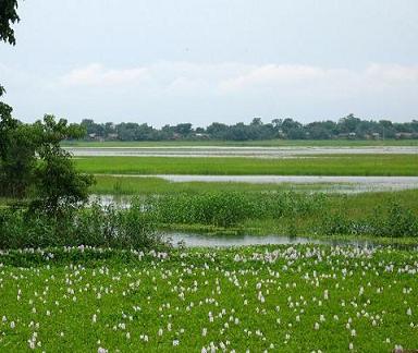 Majuli Island