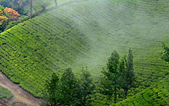 Munnar