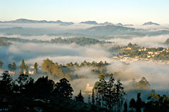 Ooty: At Sunrise