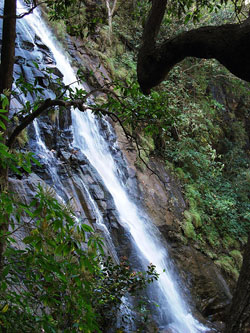 Panchmarhi: Bee fall