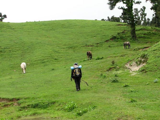 Panwali Kantha Trek