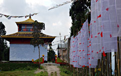 Sikkim: Trekking