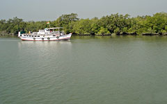 Sundarban