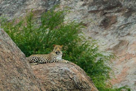 Triba Tour of Rajasthan