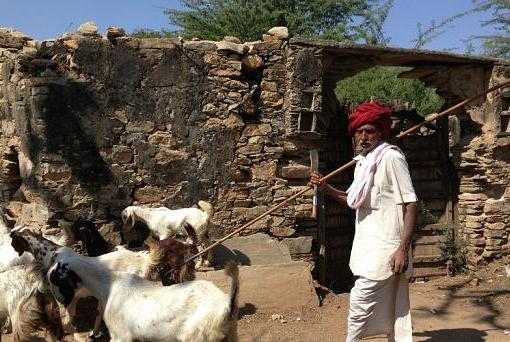 Triba Tour of Rajasthan
