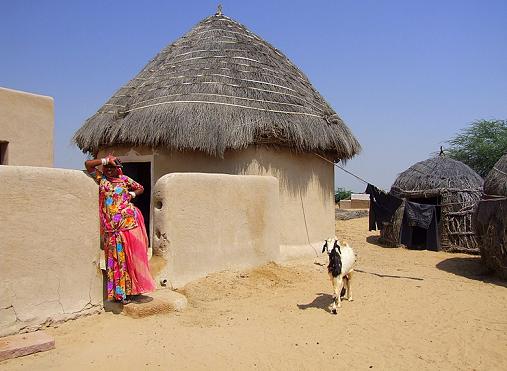 Triba Tour of Rajasthan