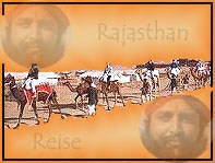 sthan Kamel Safari, Kamel Safari in die Wste von Rajasthan