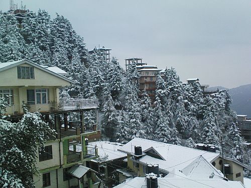 Shimla