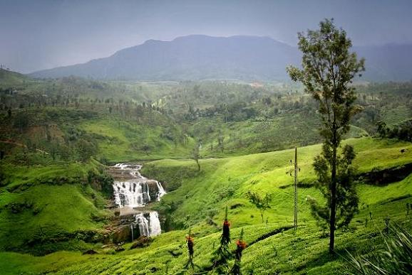 Nuwara Eliya