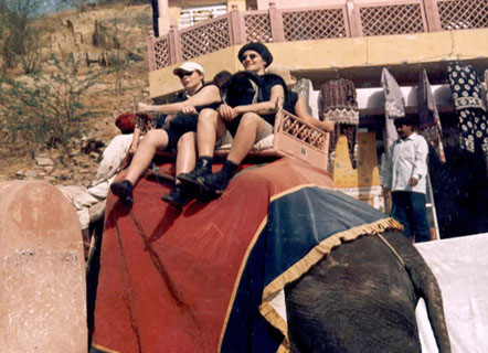 Elephants at Amber Palace in Jaipur, Rajasthan