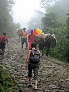 Darjeeling: trek