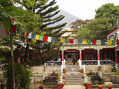Norbulinga, Dharamsala