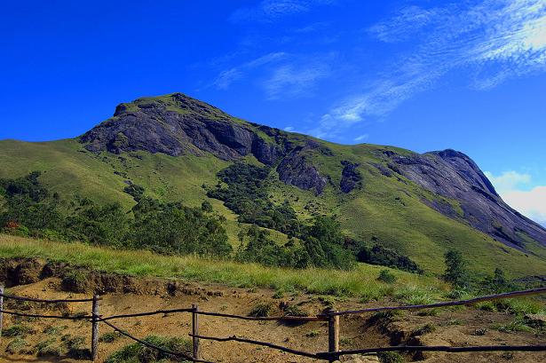 Eravikulam National Park