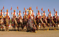 Jaisalmer: Camel tattoo show
