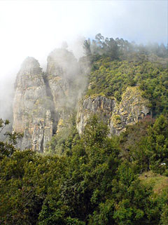 The Kodaikanal Beauty