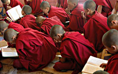 Buddhist monks