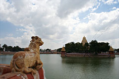 Madurai: Mariamman Teppakulam