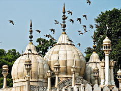 Moti Masjid, Delhi