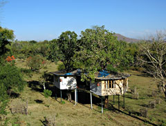 Mudumalai Wildlife park