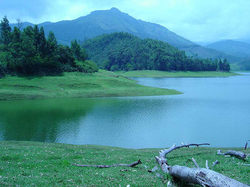 Munnar Tea Garden