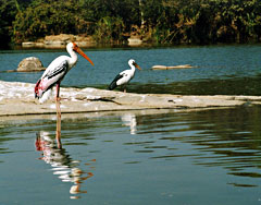 Ranganathittu Park
