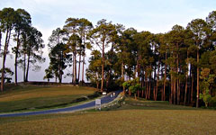 Ranikhet