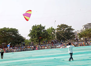 Makar Sakranti/Kite Festival
