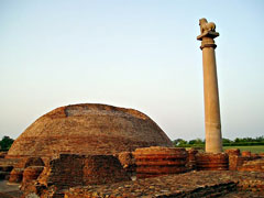 Ashoka-pillar
