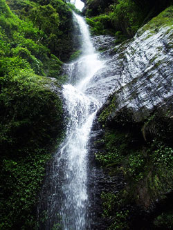 Shimla:Chadwick falls