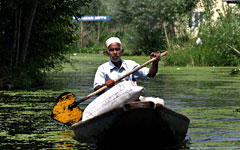 Srinagar