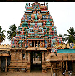 Tiruchirappalli: Sri Ranganathaswamy Temple