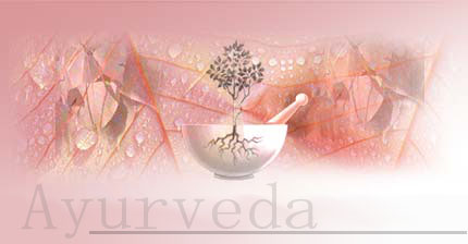 12 Tage Ayurveda Reise in Rajasthan 