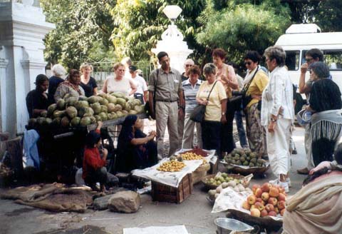 Tourist Group at the vegetable market